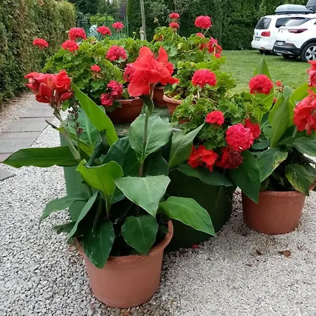 Διαμέρισμα Mit Pool, Wlan Direkt Am 70qm Jozseftelep